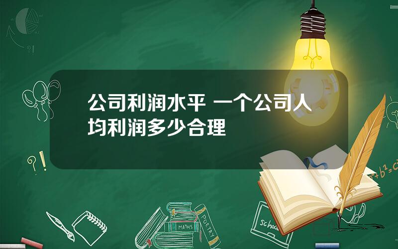 公司利润水平 一个公司人均利润多少合理